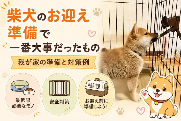柴犬を飼い始めるのに何が必要？