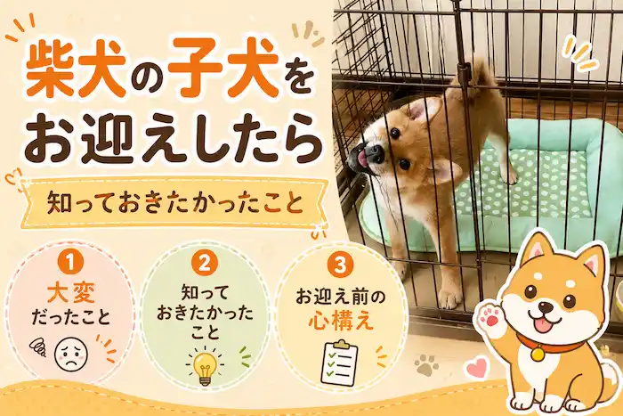 子犬の乳歯は痛い