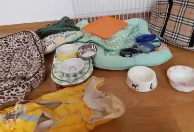 たくさん頂きました。