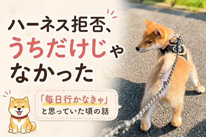 ハーネス・リードの装着で困っている飼い主いませんか？