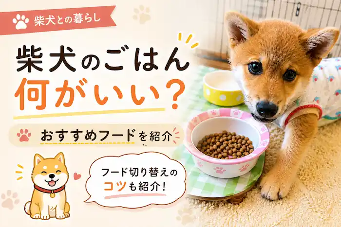 柴犬のごはんは何がいい？アカナ・オリジンを食べました。