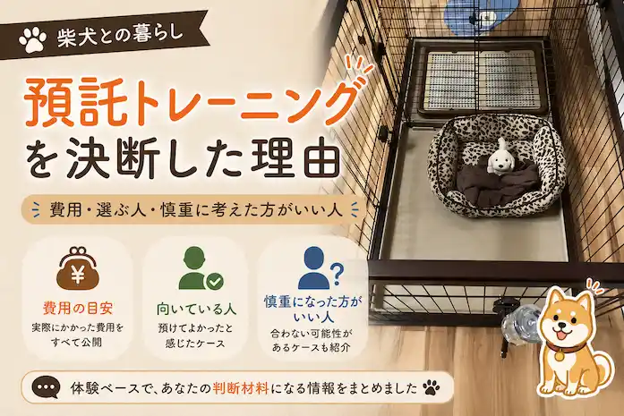 預託トレーニング中のケージは寂しさだけが残っていた