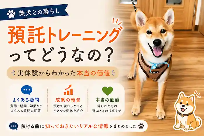 預託トレーニングは魔法ではない。だけどきっかけはもらえる。