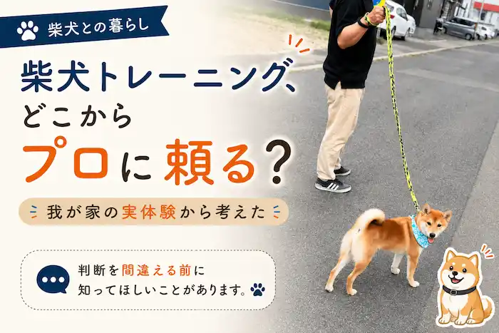 柴犬との生活が辛いと感じたら、手を打たねばなりません