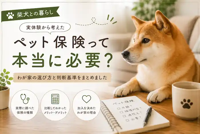 ペット保険は何を重視するかです