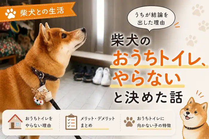 柴犬なんて家でしないの当たり前じゃん。って言われることもあります。