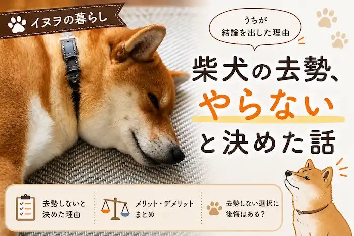 矯正についてはずっと悩んでいます。