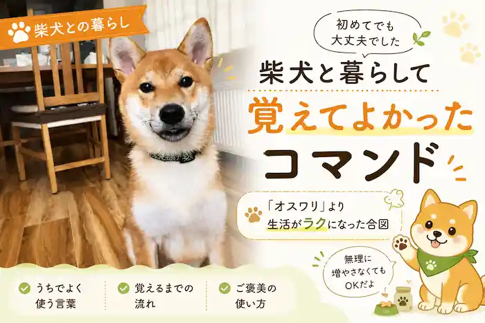 柴犬と穏やかに暮らすためにはコマンドはあったほうがいいです。
