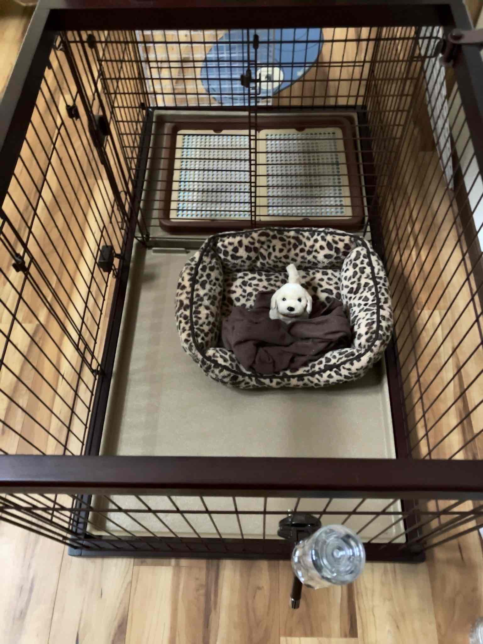 預託トレーニング中のケージは寂しさだけが残っていた