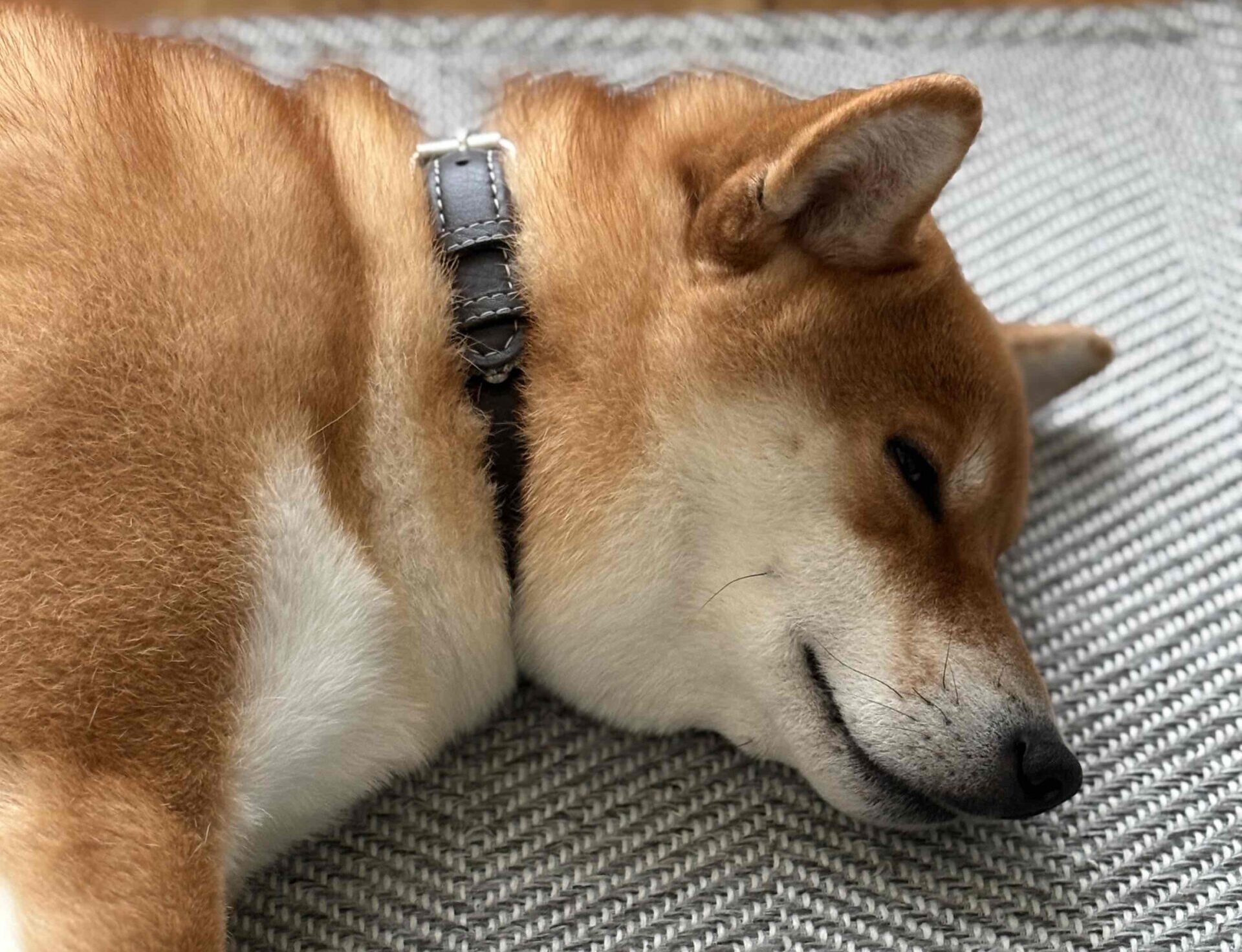 矯正についてはずっと悩んでいます。