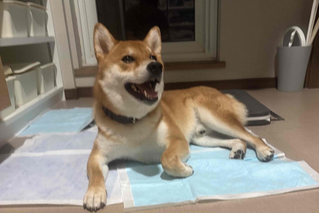 私絶対しませんから。の1シーン