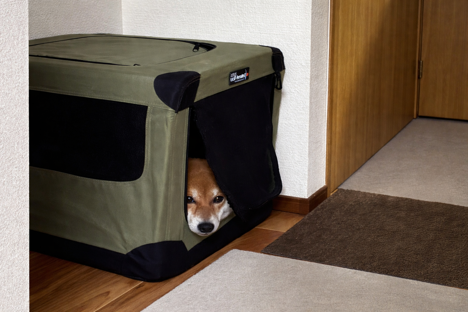 災害を他人事と思わず防災の意識を高めてください