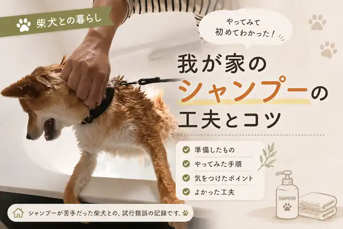 柴犬でも家でシャンプーはできた方がよいです