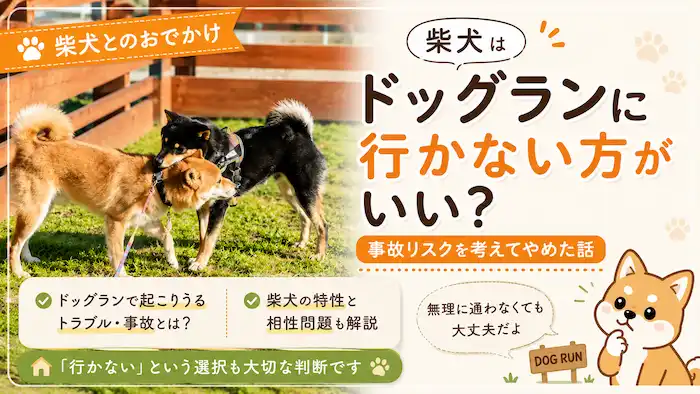 ドッグランで柴犬は嫌われるのか