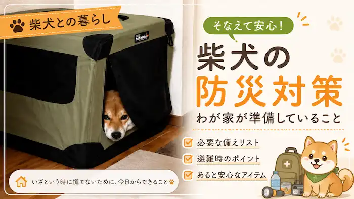 災害を他人事と思わず防災の意識を高めてください