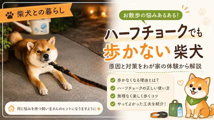 見てください、この気持ちいいまでの拒否柴を