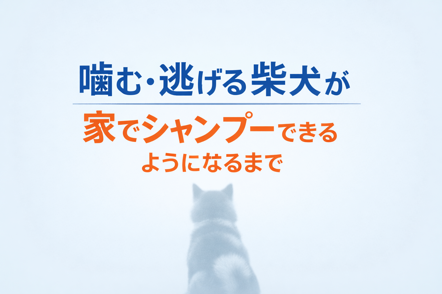 柴犬でも家でシャンプーはできた方がよいです