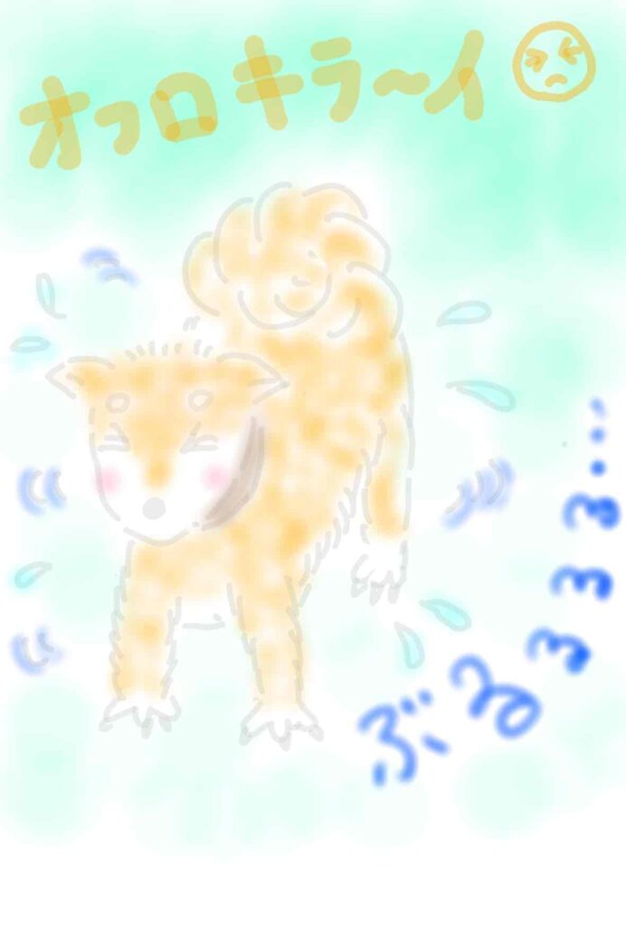 お風呂上がりのぶるぶる