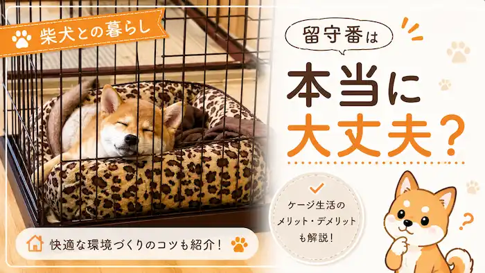 留守番中は黙って寝てます