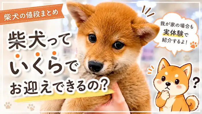 ペットショップで初めて会った日