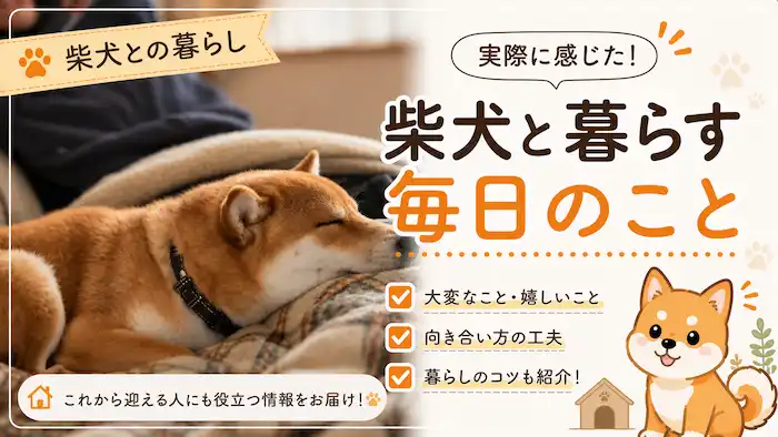 飼い主とくつろぐイヌヲ