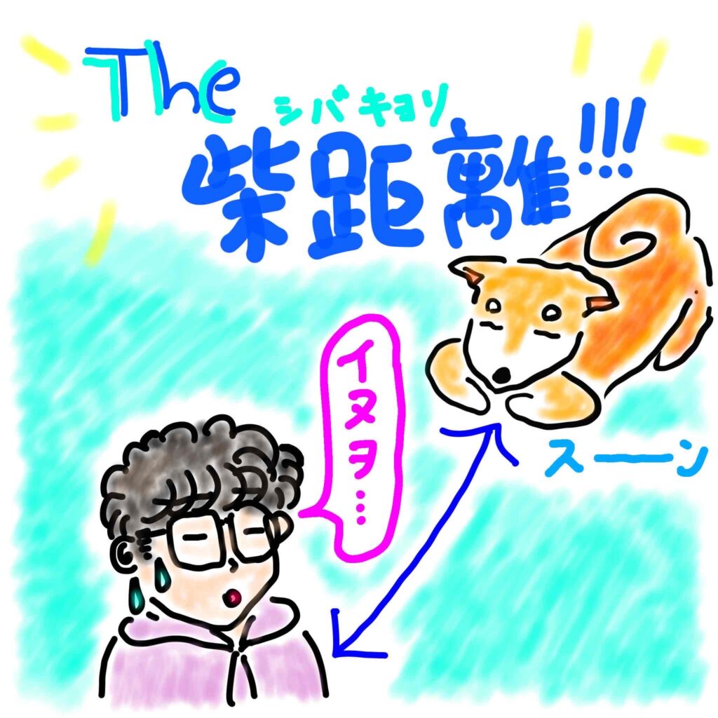 イヌヲママ作柴距離