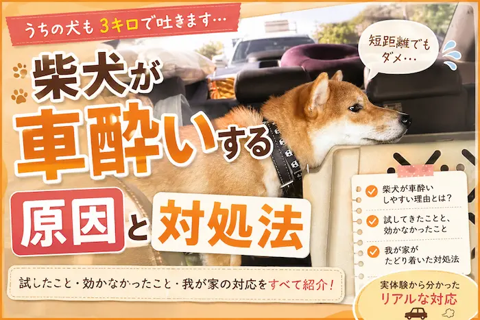 車酔いアイキャッチ