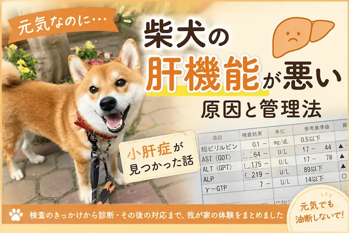 1295アイキャッチ
